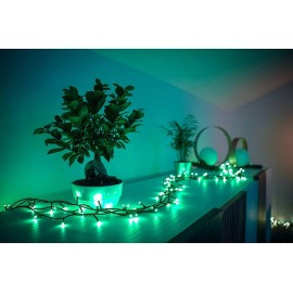 Twinkly Strings Green Wire Christmas Lights, Multicolor, 26.2ft (Pack of 2)